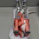 Furmubei Portable Baby Booster Seat with Tray, Toddler Booster seat for Dining, Camping, Travel, Baby Beach Chair 6 Months to 3 Years Old Indoor Outdoor Use Pink