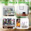 Plant Propagation Station, Glass Test Tubes with Wooden Stand for Plants, Propagation Tubes for Birthday, Housewarming, 3 Pack Plant Terrarium Vase