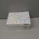 2 x AABV Oversized Funky Reading Glasses for Women/Men Readers,Blue Light Blocking with Spring Hinges,Anti UV Ray/Glare/Eyestrain (4-pack Mix)