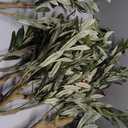 Realead Olive Trees Artificial Indoor - 5FT Faux Olive Tree with White Tall Exquisite Planter - Realistic Fake Olive Tree with Thick Trunk and Lifelike Branches for Home Office Decor