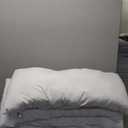 OEKO-TEX Plush Cloud Pillow - 100% Cotton Case, Hypoallergenic Polyester Fill - Machine Washable 35x19 