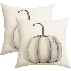 Fall Decorations White Pumpkin Throw Pillow Covers 16x16 Set Of 2 Autumn Outdoor Pumpkins Pillows Cover Teal Gray Thanksgiving Decorative Pillow Case Farmhouse Cushion Cover for Couch Bed Sofa Decor