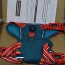 PHOEPET No Pull Dog Harness, Unique Colors Reflective Adjustable Dog Vest, with Soft Training Handle Metal Clips for Small Medium Large Dogs (Teal Base & Red Straps,S)