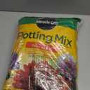 Miracle-Gro Potting Mix, For Indoor or Outdoor Potted Plants, Flowers, Vegetables, Shrubs, Annuals, and Perennials, Feeds Up to 6 Months, 8 qt. (1 Pack)