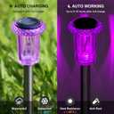 DenicMic Solar Lights Outdoor 10 Pack Waterproof Purple LED Stainless Steel Stake Outside Lights for Yard Pathway Garden Driveway Walkway Landscape Path Lighting Halloween Decorations Outdoor