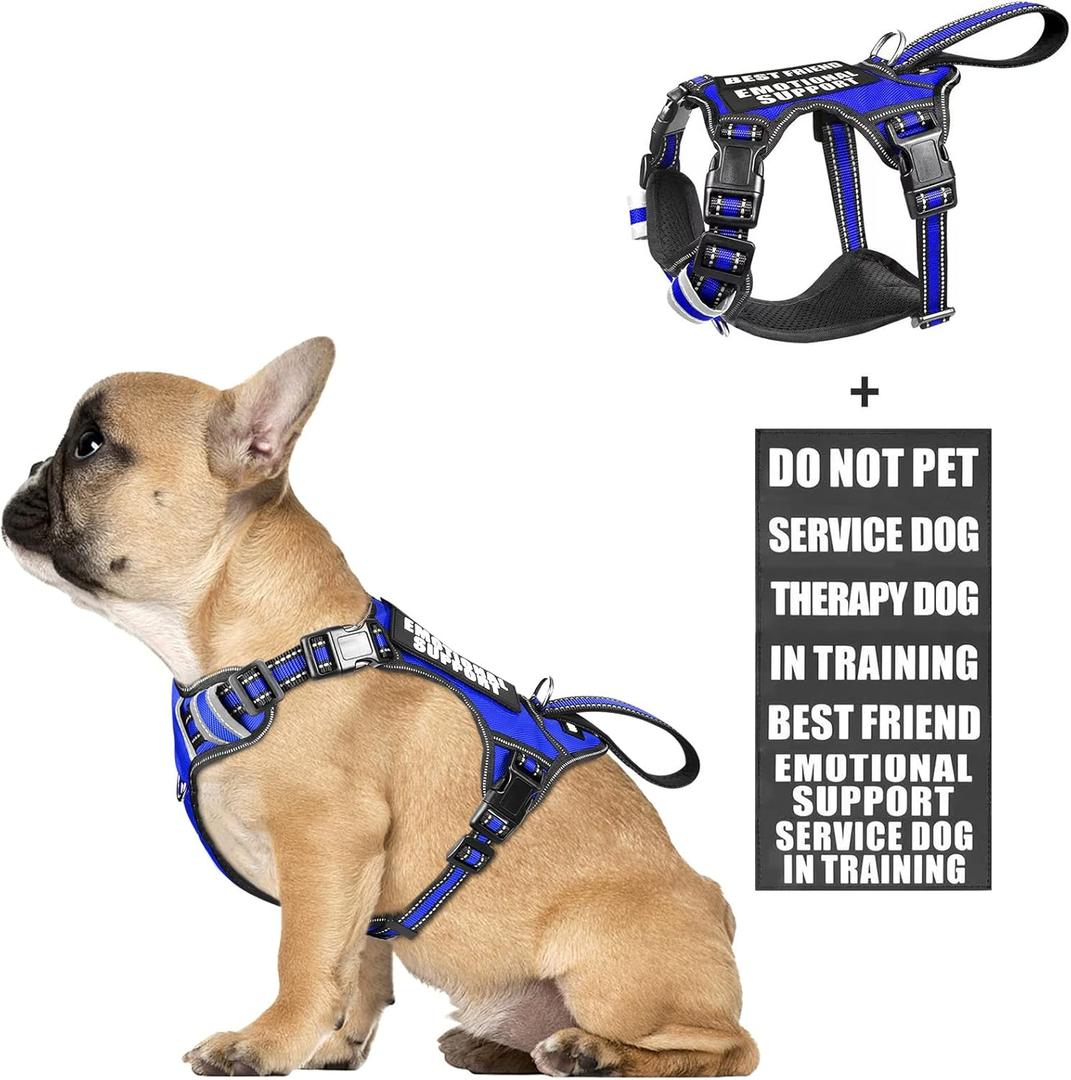 WINSEE Service Dog Vest No Pull Dog Harness with 7 Dog Patches, Reflective Pet Harness with Durable Soft Padded Handle for Training Small, Medium, Large, and Extra-Large Dogs (Small, Dark Blue) WINSEE Service Dog Vest No Pull Dog Harness with 7 Dog Patches, Reflective Pet Harness with Durable Soft Padded Handle for Training Small, Medium, Large, and Extra-Large Dogs (Small, Dark Blue)