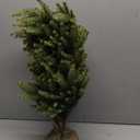 24 Inch Mini Tabletop Christmas Tree, Artificial Nordic Spruce Christmas Tree with 60 LED Light Beads and 100 PE Branch Tips Battery Powered for Home Office Xmas Decor