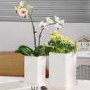 Square Plant Saucer 12 Inch 1 PackPlant Trays for Pots, White Ceramic Plant Saucers for Indoors Outdoors, Plant Drip Tray 4 6 8 10 12 14 Inch