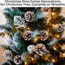 20 Pieces Christmas Pine Cones Decorations Picks - Snow Pine Cone for Xmas Tree Garland Wreath Ornaments Pinecones Decorating Winter Holidays Home