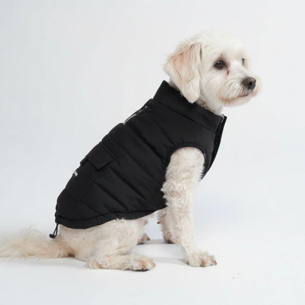 Spark Paws Dog Winter Jacket, Water-Resistant Coat, Warm Reflective Windproof Fleece-Interior, for Medium and Large Dogs - Black - M (M: 10-15lbs)