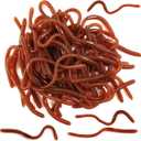 RONYOUNG 50PCS 7.1inch Fake Earthworm Soft Stretchy Rubber Earthworm Lifelike Worm Trick for Halloween April Fool's Day Party Decoration