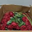 Sggvecsy 50 Pcs Artificial Roses Red Flowers Fake Velvet Silk Roses with Stems Bulk Realistic Faux Flowers for Bridal Bouquets Wedding Centerpieces Valentines Day DIY Home Decor (Burgundy)