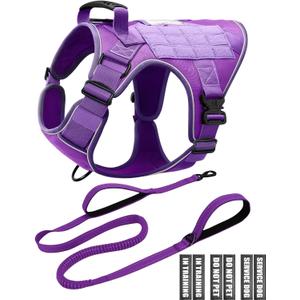 Service Dog in Training Vest Leash Set, Reflective Do Not Pet Dog Harness with Handle and 6 Patches, Full Metal Buckles, for Large Dogs Training Walking, X