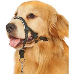 BARKLESS Head Collar for Dogs, No Pull Head Halter for Large Medium Small Dogs, Dog Halter Stops Heavy Pulling, Muzzle Leash with Padded Safety Strap for Walking Training(Black, M)