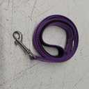 4/5/6 Ft Dog Leash with Neoprene Handle and Highly Reflective Strips on Both Side, Strong Nylon Dog Leash for Traning and Walking, Purple, 4FT