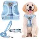 PUPTECK Adjustable Dog Harness Collar and Leash Set Step in No Pull Pet Harness for Dogs Puppy and Cats Outdoor Walking Running, Soft Mesh Padded Reflective Vest Harnesses, Blue S
