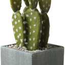 Cactus Artificial Plants in Gray Pots, Realistic Faux Cactus Potted Dcor for Home, Office, Kitchen, Living Room, Desk, Shelf, and Indoor Decoration (Oblate) (Grey Green-br09)