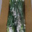 TURNMEON 20 Bundles Artificial Flowers for Outdoors,Summer Spring Grass Camellia Fake Flowers Plastic Plants,UV Resistant No Fade Faux Greenery for Gardens Porch Planter Cemetery Decor 500 Head (White)