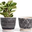 LE TAUCI 5.5 Inch Boho Plant Pots Indoor, Artisanal Cement Pots for Plants, Succulent Pots with Drainage Holes and Saucers, Planters for Indoor Plants, Set of 2, Black and Cream White
