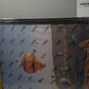 24x32 Picture Frame for Wall Display, 24x32 Black Picture Frame with Shatter Resistant Plexiglass, Stable and Sturdy 24 x 32 Poster Frame for Wall Display, Handpicked Gift Collection, 1 Pack