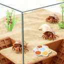 Hermit Crab Hideout Cave with Food Dishes & 2 Aquarium Plants – Underground Habitat Shelter for Terrarium or Tank Corner, Safe Textured Hide Decor for Hermit Crabs & Small Reptiles