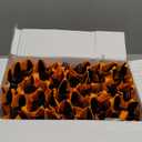 60Pack Black Plastic Silverware with Napkins, Rolled Orange Dinner Napkins with Cutlery, Pre Rolled Plastic Silverware, Wrapped Black Cutlery with Dinner Napkins for Thanksgiving