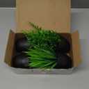 Der Rose Fake Plants 4 Packs Artificial Plants Small Faux Plants Black Bathroom Accessories for Halloween Bathroom Home Kitchen Coffee Table Office Desk Decor Indoor (Green)
