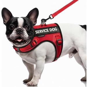 FAYOGOO Service Dog Vest for Small Dogs - Air Mesh Breathble Emotional Support Animal Vest with DIY Patches - Puppy Harness and Leash Set Adjustable Neck and Chest (Red)