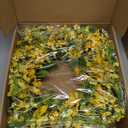 24”-26” Yellow Faux Silk Wild Flower Spring Summer Easter Wreath for Front Door – Artificial Green Eucalyptus Leaves Farmhouse Front Porch Wall Wreath – All Season Outdoor and Indoor Use
