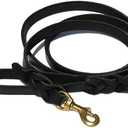Ray Allen Mfg Signature K9 Braided Leather Leash, 6-Feet x 3/4-Inch, Black