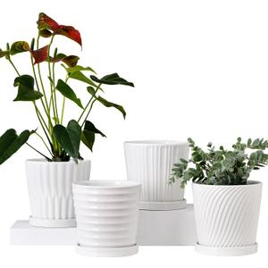 Ton Sin Plant Pots,White 6 Inch Flower Pots for Plants,Ceramic Planter with Drainage Holes,Indoor Planter Pots with Saucer,Outdoor Garden Pots (White, 4 Pack)