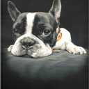 Naanle Dishwasher Magnet Cover Animal French Bulldog Front Dishwasher Cover Magnetic Home Cabinet Decals Appliances Stickers Refrigerator Decorative 23" x 26" (Multi02)