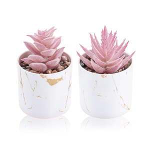 Der Rose Set of 2 Succulents Plants Artificial Mini Fake Succulents Plants for Office Desk Accessories for Women Pink Home Vanity Decor