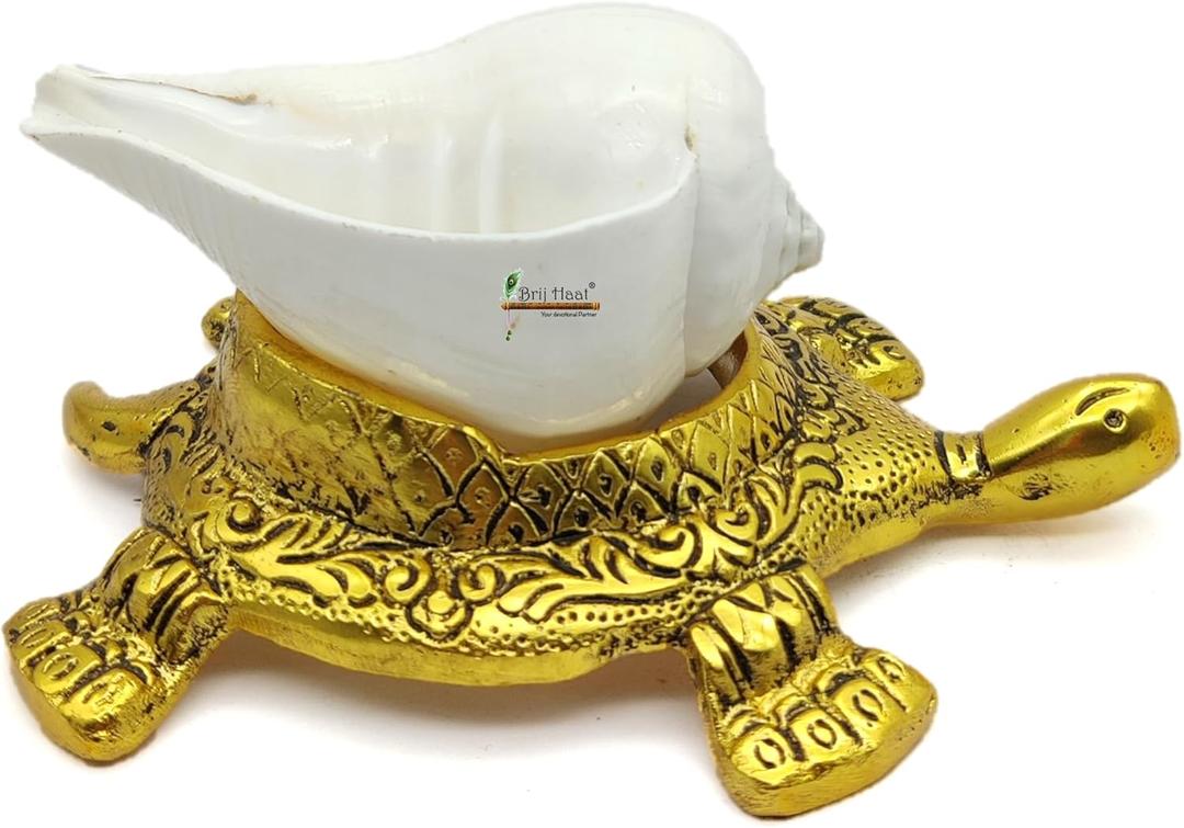 Natural shankh Conch Shell with Golden Turtle Stand for Pooja, Home Decor