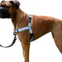 ShawnCo Dream Walk No-Pull Dog Harness- Adjustable, Comfortable, Easy to Use Pet Halter to Help Stop Pulling for Small, Medium and Large Dogs (Moonglow, L)