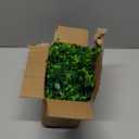 Dolicer Eucalyptus Garland 2 Pack - 12FT Faux Greenery, Fake Hanging Garlands Wedding Backdrop Arch Wall Table Party Decor (Green)