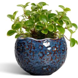 Ceramic Pots for Plants - 4 Inch Plant Pots for Indoor Outdoor, Small Planter with Drainage Hole, Unique Flower Pot, Decorative Modern Round Planter, Office Decor, Home Gifts, Retro Blue, 4.5 Inch