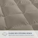 Blue Ridge Home Fashions Comforter Breathable Microfiber Duvet Insert, Summer Cooling Winter Warm Reversible Down Alternative Quilt Comforter for All Season, Full-Queen, Khaki