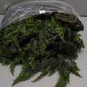 Real Touch Christmas Cedar Garland -6ft Artificial Garlands Faux Cedar Fake Pine Needles Garland for Fireplace,Table,Window,Stairs,Mante,Holiday Indoor Outdoor Xmas Decor (2 PCS)