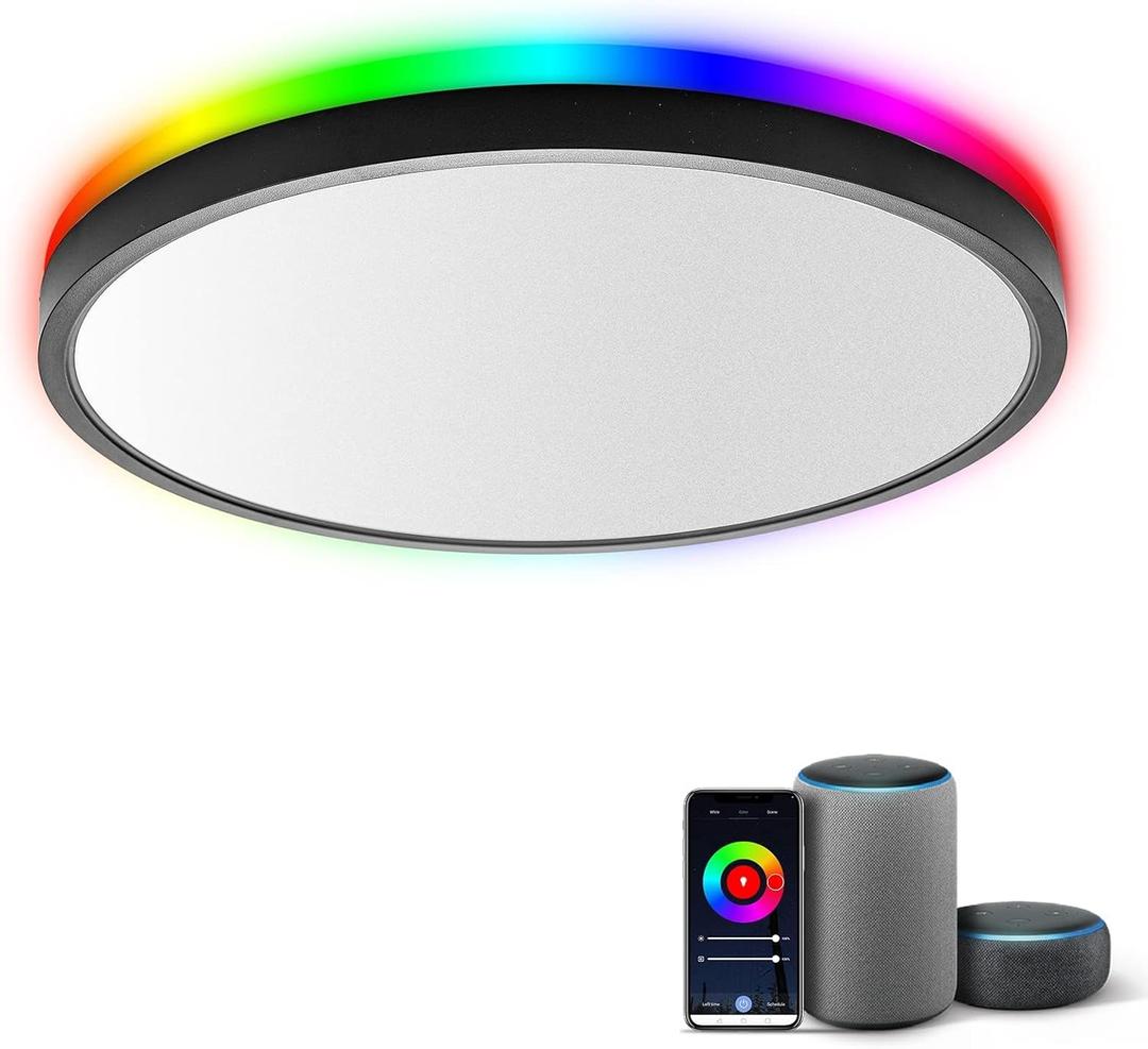 TALOYA Smart Ceiling Light Flush Mount LED WiFi, Compatible with Alexa Google Home, Black Dimmable Low Profile Ambient Light Fixture for Bedroom Living Room, 12 Inch 24W