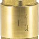EZ-FLO Brass In-Line Check Valve, 1 Inch IPS, Stainless Steel Spring, 20405LF