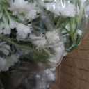 Dolicer 2 Pcs Babys Breath Artificial Flowers Vines, Faux White Hanging Baby Breath Garland, Real Touch Fake Babys Breath Gypsophila for Wedding Party Backdrop Wall Home Decor