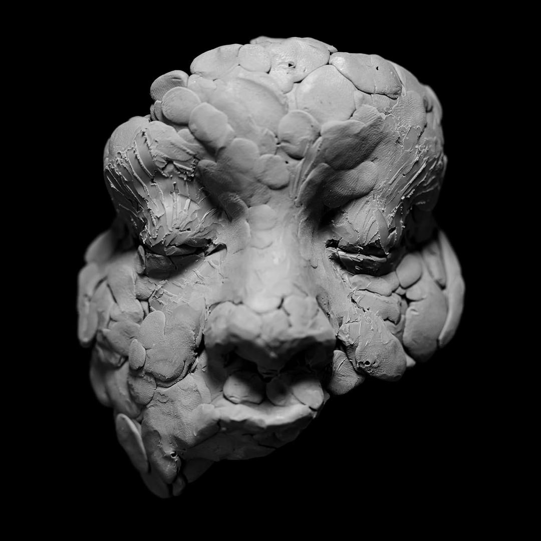 OBSERVATIONS FROM A CROWDED ROOM Format: Audio CD