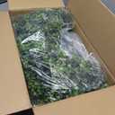 2 Pack 24'' Boxwood Wreaths for Front Door, Artificial Eucalyptus Wreath | Faux Eucalyptus Leaves with Seeds, Waterproof & No Fade, Fake Greenery Outdoor Wreath,Farmhouse,Home,All Seasons