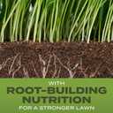 Scotts Turf Builder Grass Seed Tall Fescue Mix - Durable to Resist Harsh Conditions, Lawn Seed, Grass Fertilizer & Soil Improver, Covers up to 8,000 sq. ft., 32 lb. (EXP 12/03/27)