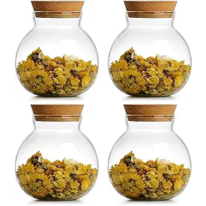 DNIENKGE Spherical Glass Jar With Cork Lid Airtight  17oz Candy Jar Kitchen Glass Jar  for Preserving and Storing Coffee, Spice, Beans, Sugar etc (9)
