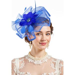 Zando 2026 Kentucky Feather Mesh Fascinators Derby Hats for Women Girls with Clip and Headband Tea Party Wedding Cocktail Hat