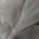 BEDELITE Fleece Twin Comforter Set -Super Soft & Warm Fluffy Linen Bedding, Luxury Fuzzy Heavy Bed Set for Winter with 1 Pillow Case
