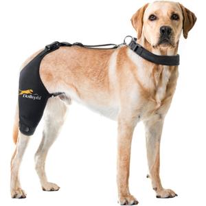 Dog Knee Brace for Torn ACL Hind Leg, Hot/Cold Compress for Patella Dislocation or Osteoarthritis, Cruciate Ligament Injuries(Right Leg,S)