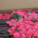 100 Pcs Artificial Faux Bougainvillea Fake Flower Silk Bougainvillea Branches UV Resistant Outdoor Indoor Decoration for Wedding Home Centerpieces Outside Decor (Rose Red)